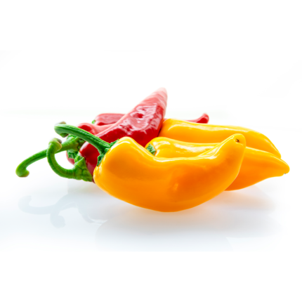 The pepper has a medium level of heat and is commonly used in Latin American cuisine, particularly in Peruvian dishes. It has a fruity and slightly sweet flavor, with hints of mango and passion fruit. Aji Amarillo chiles are often used in sauces, stews, ceviche, and marinades, adding a vibrant yellow color and unique flavor to dishes. They are a staple ingredient in Peruvian cuisine and popular in other South American countries as well.