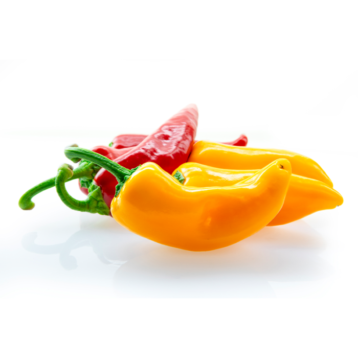 The Pepper Has A Medium Level Of Heat And Is Commonly Used In Latin American Cuisine, Particularly In Peruvian Dishes. It Has A Fruity And Slightly Sweet Flavor, With Hints Of Mango And Passion Fruit. Aji Amarillo Chiles Are Often Used In Sauces, Stews, Ceviche, And Marinades, Adding A Vibrant Yellow Color And Unique Flavor To Dishes. They Are A Staple Ingredient In Peruvian Cuisine And Popular In Other South American Countries As Well.