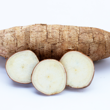 The root is long, slender, and brownish-gray in color, with a rough, knobby texture. It is partially submerged in soil, with some dirt clinging to its surface, suggesting its underground growth. The image captures the distinctive appearance of burdock root, a medicinal herb and culinary ingredient known for its earthy flavor and potential health benefits.