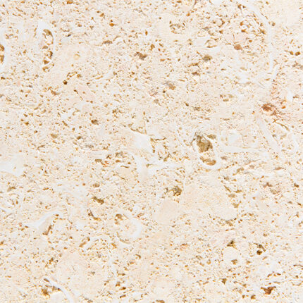 A high-resolution image showcasing the natural stone surface with a combination of creamy ivory and beige colors, highlighted by darker speckles and veins that create a unique and elegant pattern.