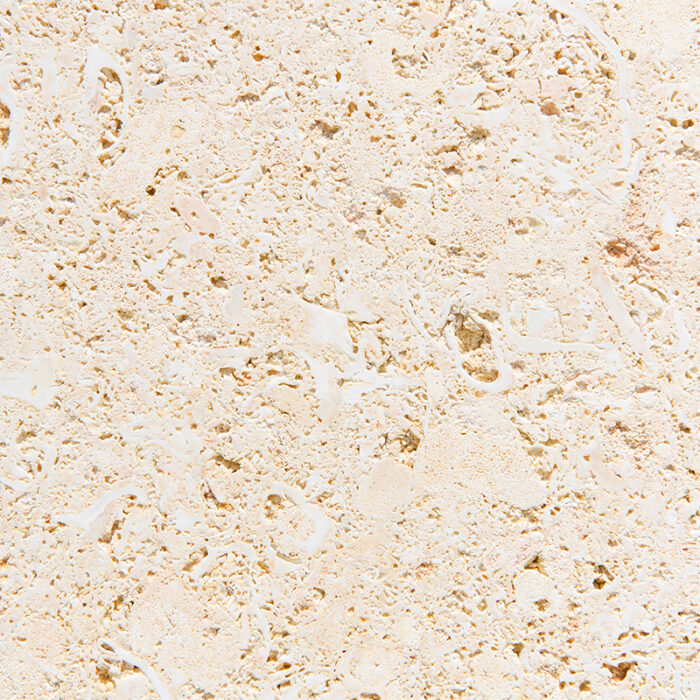 A High-Resolution Image Showcasing The Natural Stone Surface With A Combination Of Creamy Ivory And Beige Colors, Highlighted By Darker Speckles And Veins That Create A Unique And Elegant Pattern.