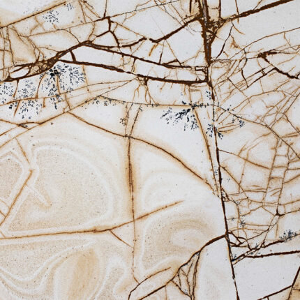 a close-up view of the marble's intricate brown and beige veining patterns resembling tree branches and leaves, against a smooth polished surface.