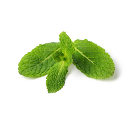 Fresh mint leaves, a herb commonly used as a flavoring and garnish in cooking and drinks, known for its refreshing and cooling taste and strong aroma.