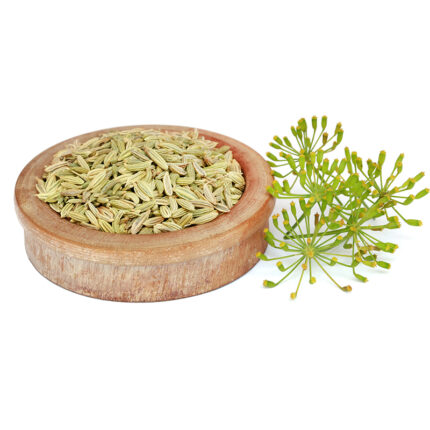 Fennel seeds, commonly used as a spice in cooking and seasoning, known for their sweet and licorice-like flavor and aroma.