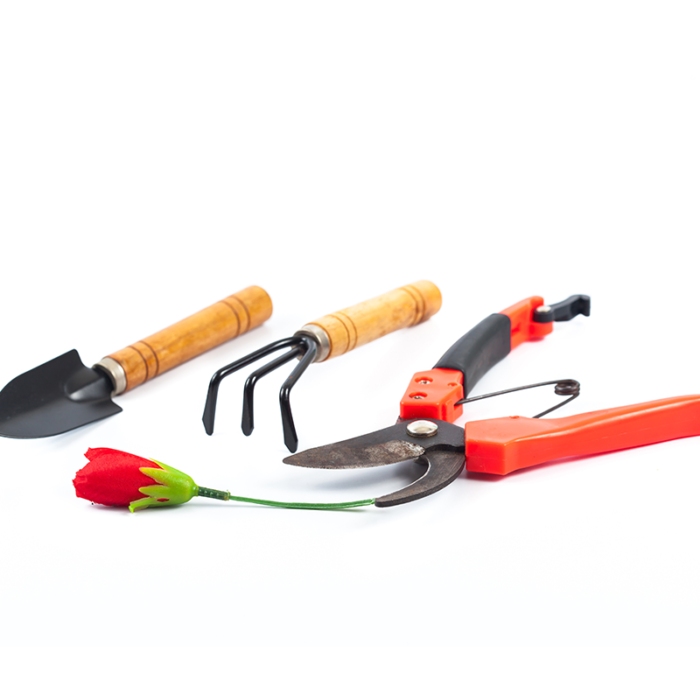 These Tools Are Used For Various Gardening Tasks Such As Digging, Planting, Pruning, And Weeding. Gardening Tools Come In Different Sizes And Shapes, With Ergonomic Handles For Comfortable Grip And Ease Of Use.