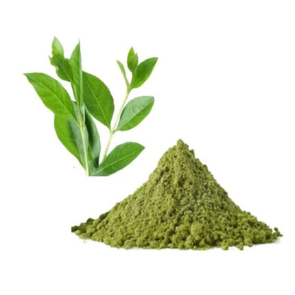 Henna is derived from the leaves of the Lawsonia inermis plant and has been used for centuries in various cultures for decorative purposes. The image shows a paste or powder form of henna, typically dark green or brown in color.