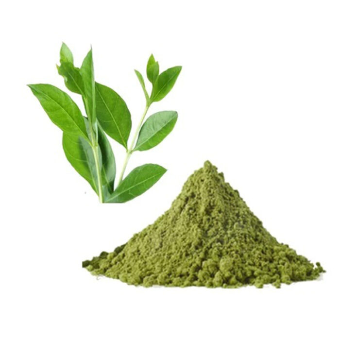 Henna Is Derived From The Leaves Of The Lawsonia Inermis Plant And Has Been Used For Centuries In Various Cultures For Decorative Purposes. The Image Shows A Paste Or Powder Form Of Henna, Typically Dark Green Or Brown In Color.