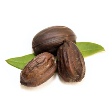 The seeds of the jojoba plant are used to extract jojoba oil, which is a popular ingredient in skincare and haircare products. Jojoba oil is known for its moisturizing and nourishing properties.