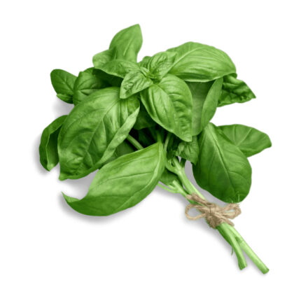 The dried leaves have a dark green color and a unique shape, resembling small elongated leaves with serrated edges. Maori Bush Basil is highly valued for its aromatic and medicinal properties.