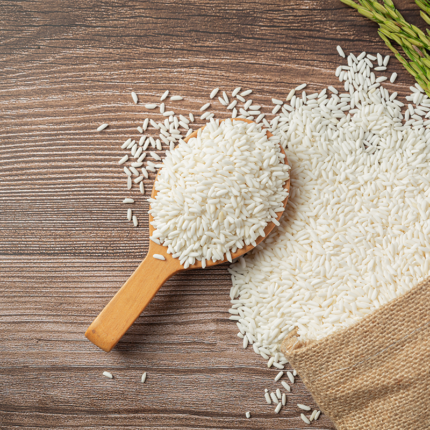 Miniket rice is primarily grown in West Bengal, India, and is highly regarded for its delicate aroma and fine taste.