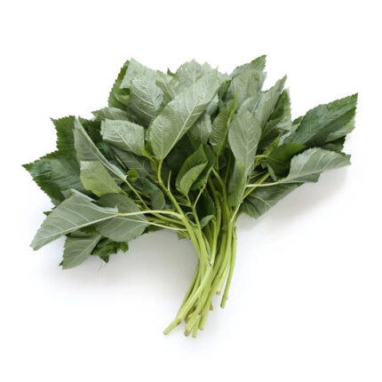 . The leaves of Molokhia are medium to dark green in color and have a slightly wrinkled or serrated appearance. Molokhia is known for its mucilaginous texture when cooked.