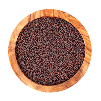Mustard seeds are commonly used as a spice in culinary applications, particularly in Indian, Middle Eastern, and European cuisines. They have a pungent, spicy flavor and can be used whole or ground into a powder. Mustard seeds are also used to make condiments such as mustard sauce and are known for their potential health benefits.