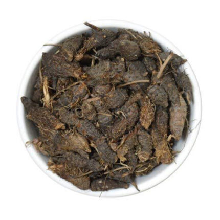 The image may show the plant itself or its dried rhizomes, which are used in herbal medicine and culinary applications. Nagarmotha has a distinct aroma and a slightly earthy, woody flavor.