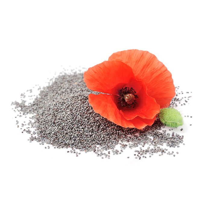 Poppy Seeds Are Commonly Used In Culinary Applications, Particularly In Baked Goods, Such As Muffins, Cakes, And Breads. They Can Also Be Used As A Garnish For Salads And Other Dishes. Poppy Seeds Are Also Known For Their Potential Health Benefits, Such As Being A Good Source Of Protein, Fiber, And Essential Minerals, Such As Calcium, Iron, And Magnesium.