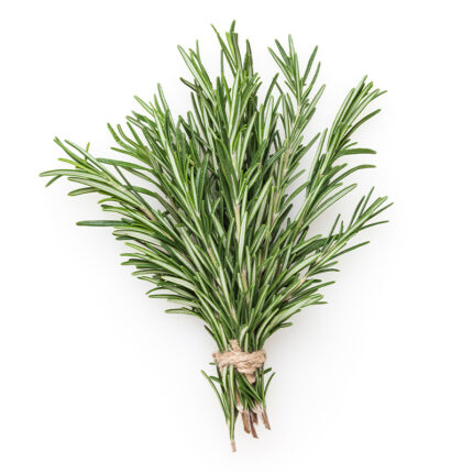 The rosemary leaves are small and needle-like with a dark green color and a slightly curved shape. They are arranged in a cluster and fill the frame of the image. The image captures the appearance of fresh rosemary, a popular herb used for culinary and medicinal purposes