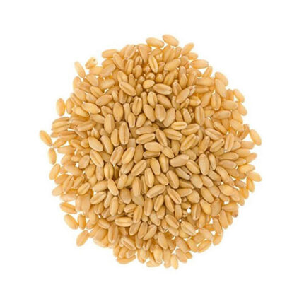 Sharbati rice is known for its delicate flavor, distinct aroma, and soft, fluffy texture. It has long and slender grains that elongate upon cooking, offering an exquisite visual appeal to rice-based dishes.