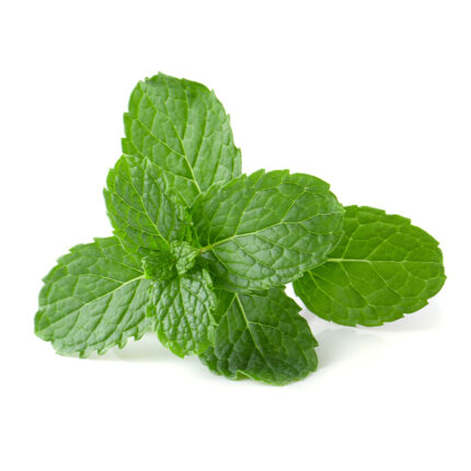 The spearmint leaves are bright green and have a jagged, serrated edge. The image captures the appearance of spearmint, a popular herb used in cooking and teas. The alt text conveys the bright green color and jagged edge of the spearmint leaves.