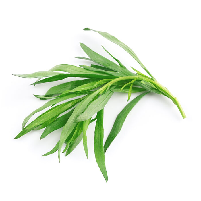 A Bunch Of Fresh Tarragon Leaves, Known For Their Long, Narrow Shape And Light Green Color, Commonly Used As A Culinary Herb For Its Unique And Slightly Bittersweet Flavor.