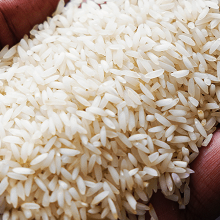 Tulaipanji rice, which typically has a white or slightly off-white color and elongated grains.