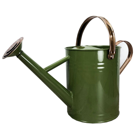 A container specifically designed for watering plants, with a spout for controlled pouring and a handle for easy carrying.