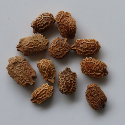 The seeds are light brown or tan in color and are commonly sown directly in the ground or started indoors and transplanted.