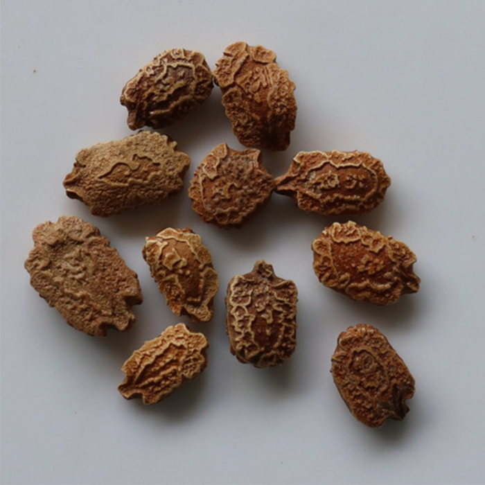 The Seeds Are Light Brown Or Tan In Color And Are Commonly Sown Directly In The Ground Or Started Indoors And Transplanted.