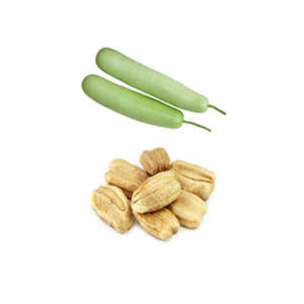 Bottle Gourd Seeds, small oval-shaped seeds used for growing bottle gourd plants. The seeds are typically light brown or tan in color. Bottle gourd is a vine-like plant that produces elongated, bottle-shaped fruits.