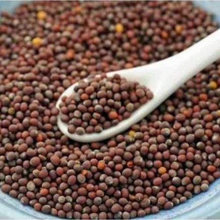 The seeds are small, round, and have a dark brown color. The label indicates the grading or quality level of the mustard seeds.