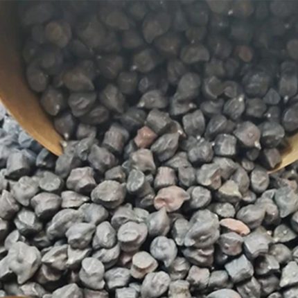 Small, dark-colored chickpeas commonly used in Indian cuisine.