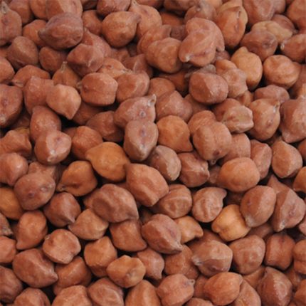 Small and dark-colored chickpeas, also known as Bengal gram or black chickpeas, commonly used in Indian cuisine