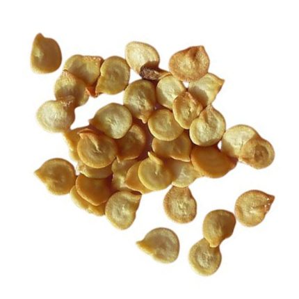 The seeds are small, round, and vary in color, including red, yellow, and green, depending on the capsicum variety.