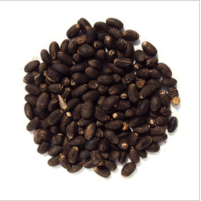 The Seeds Are Small, Round, And Have A Dark Brown Or Black Color.