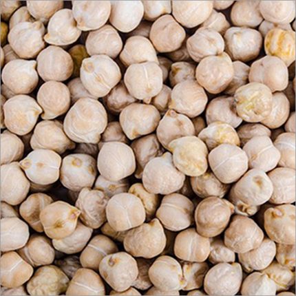 Creamy white chickpeas grown using organic farming practices.