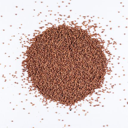 The seeds are small, oval-shaped, and have a dark brown color.