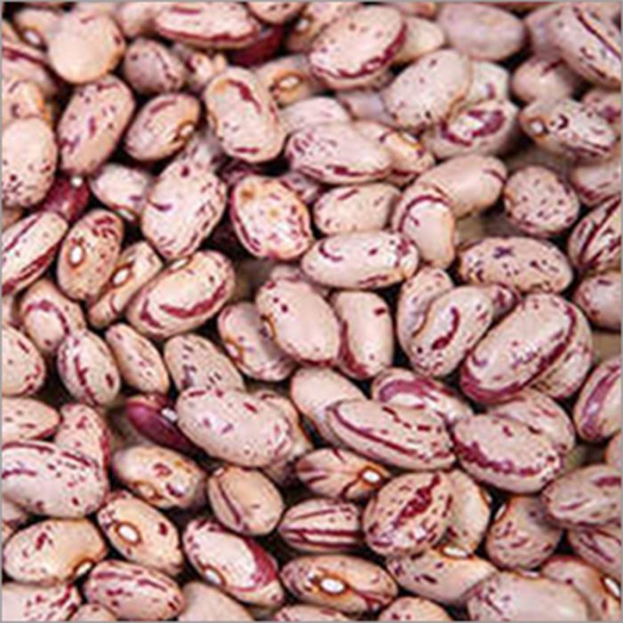 Rajma Chitra |