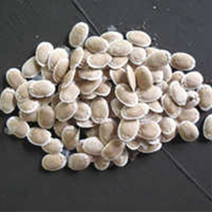 The Seeds Are Light Brown Or Tan In Color. Sponge Gourd Plants Are Tropical And Subtropical Vines That Produce Long, Cylindrical Fruits With A Fibrous Interior.