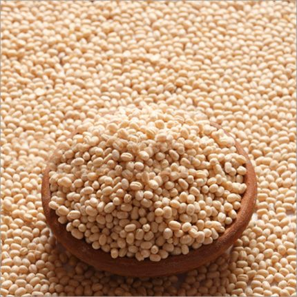 The seeds are small, oval-shaped, and have a black color. Grade A indicates that the seeds meet specific quality standards in terms of size, appearance, and purity.