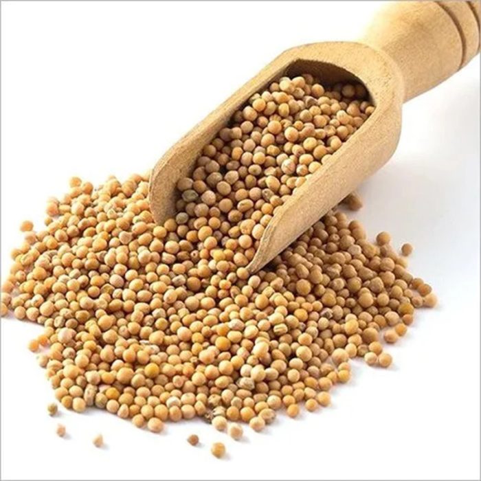The Seeds Are Small, Round, And Have A Light Beige Or Pale Yellow Color. White Mustard Seeds Are Commonly Used As A Spice And Condiment, Known For Their Sharp And Pungent Flavor.