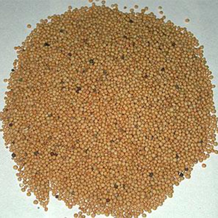 The Seeds Are Small, Round, And Have A Bright Yellow Color. Yellow Mustard Seeds Are Commonly Used As A Spice And Condiment In Various Cuisines.