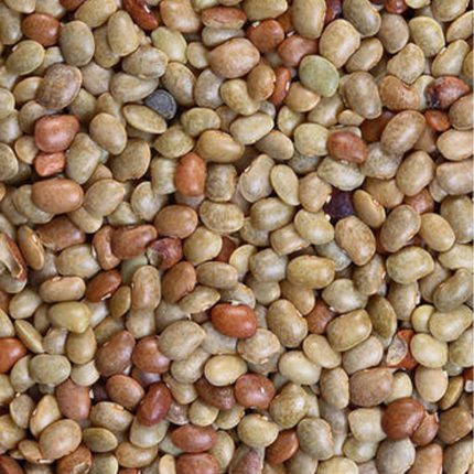 Horse Gram Nutritious legume with a nutty flavor, commonly used in Indian cuisine.